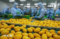 Mỹ th&uacute;c đẩy xuất khẩu n&ocirc;ng sản sang Việt Nam