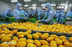 Mỹ thúc đẩy xuất khẩu nông sản sang Việt Nam
