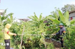 Hải Phòng thu hồi hơn 5.000m2 đất phục vụ dự án xây dựng điểm dân cư mới
