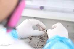 Trong phòng Lab giám định ADN: Nơi khoa học thắp hy vọng đưa các liệt sĩ trở về