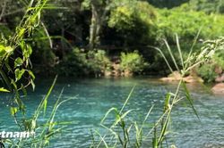 Khám phá Suối Nước Moọc - 'ốc đảo xanh' giữa lòng Phong Nha-Kẻ Bàng
