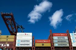 Maersk tạm ngừng hoạt động vận tải biển tại Ukraine