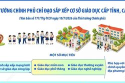 Thủ tướng Chính phủ chỉ đạo việc sắp xếp cơ sở giáo dục công lập cấp tỉnh, xã