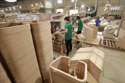 Bàn giải pháp gỡ điểm nghẽn phát triển vùng nguyên liệu cho ngành gỗ