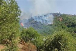 Algeria kích hoạt cơ chế khẩn cấp quốc gia ứng phó với nắng nóng cực đoan