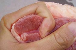 Đừng để màu sắc đánh lừa: Quy tắc '5 nhớ, 1 không' giúp chọn thịt lợn chuẩn