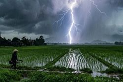3 mẹ con bị sét đánh khi chỉ còn cách nhà 100m, 2 bé gái tử vong thương tâm