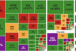 Dòng tiền bắt đáy nhập cuộc, VN-Index bật tăng gần 31 điểm sau nhịp rung lắc