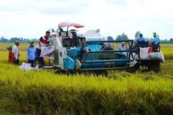 Cần Thơ triển khai dự án 15 tỷ đồng phát triển lúa gạo phát thải thấp
