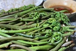 Mỗi năm chỉ ngon vài tuần, loại rau này luôn được người sành ăn chờ đợi