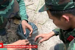 Phát hiện 1 bộ hài cốt liệt sĩ từ nguồn tin của người dân