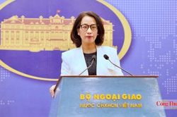 Bộ Ngoại giao thông tin về hoạt động đối ngoại của Việt Nam cuối tháng 7