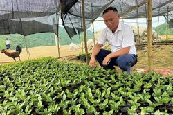 Người cũ của bản mới