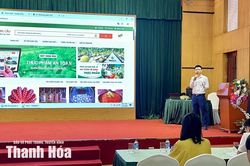 Hướng dẫn doanh nghiệp, hợp tác xã đưa sản phẩm lên phần mềm kết nối cung cầu