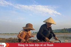 Vị của biển