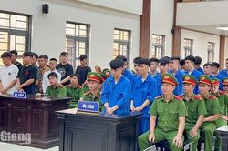 Phút bốc đồng, nhiều năm hối tiếc