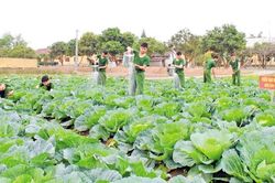 L&iacute;nh xe tăng 'tăng gia giỏi'