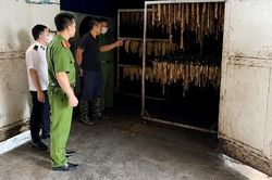 Bắc Ninh: Siết chặt từng kh&acirc;u, ngăn sản phẩm động vật 'bẩn'