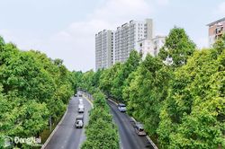 Vì một Đồng Nai xanh
