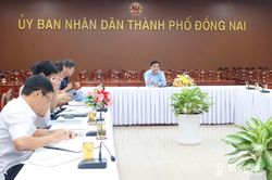 Tiếp tục nghiên cứu, hoàn thiện Đề án phát triển hệ thống giao thông đường thủy nội địa kết nối khu vực phía Bắc Đồng Nai với sông Đồng Nai