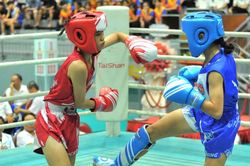 Hơn 430 vận động vi&ecirc;n tranh t&agrave;i tại Giải V&ocirc; địch Kickboxing trẻ to&agrave;n quốc