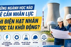 Những ngành học nào sẽ cần nhân lực khi điện hạt nhân được tái khởi động?