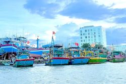 Gia Lai kiên quyết không để tàu cá không đủ điều kiện tham gia khai thác thủy sản