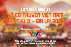 Li&ecirc;n hoan quốc tế V&otilde; cổ truyền Việt Nam lần thứ IX - Gia Lai năm 2026 sẽ diễn ra từ ng&agrave;y 2 đến 5-8