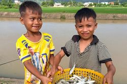 Câu cá linh ở hồ Ayun Hạ