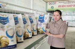 X&acirc;y dựng thương hiệu gạo: N&acirc;ng cao gi&aacute; trị, tạo thuận lợi đầu ra