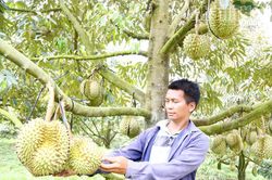 Những 'hạt nh&acirc;n' th&uacute;c đẩy giảm ngh&egrave;o ở x&atilde; T&acirc;y Kh&aacute;nh Sơn
