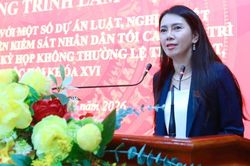 Lấy ý kiến đối với một số dự án luật, nghị quyết trình kỳ họp không thường lệ thứ nhất, Quốc hội khóa XVI