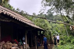 Khẩn trương hỗ trợ người dân khắc phục hậu quả dông lốc và mưa lớn