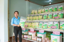 Li&ecirc;n kết sản xuất - động lực n&acirc;ng chất lượng hạt gạo T&aacute;nh Linh
