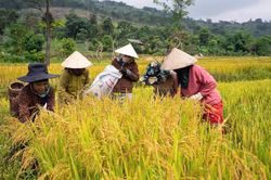Để người ngh&egrave;o c&oacute; cuộc sống ấm no