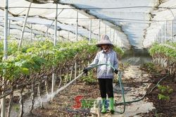 Đ&agrave;o tạo n&acirc;ng cao chất lượng lao động ng&agrave;nh n&ocirc;ng nghiệp
