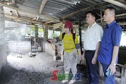Quyết liệt ngăn dịch tả lợn châu Phi
