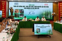 Ph&aacute;t triển nguy&ecirc;n liệu xanh bền vững - ch&igrave;a kh&oacute;a để ng&agrave;nh gỗ chạm mốc 25 tỷ USD