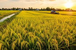 TP Hồ Ch&iacute; Minh hướng tới nền n&ocirc;ng nghiệp xanh, ph&aacute;t thải thấp