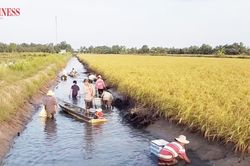Gỡ 'điểm nghẽn' thể chế để kinh tế tập thể bứt phá