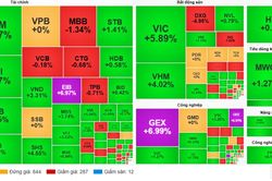 Cổ phiếu họ Vin bứt phá, Gelex tăng kịch trần hàng loạt, VN-Index hồi phục ấn tượng