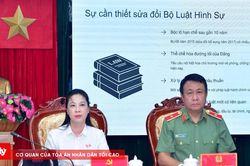 Tuy&ecirc;n Quang g&oacute;p &yacute; 3 dự &aacute;n luật, nghị quyết do Bộ C&ocirc;ng an chủ tr&igrave; soạn thảo