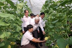 TP. Hồ Chí Minh đặt mục tiêu giá trị sản xuất nông nghiệp đô thị đạt 700 triệu đồng/ha/năm