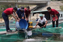 Khơi dòng vốn để Việt Nam trở thành quốc gia mạnh từ biển