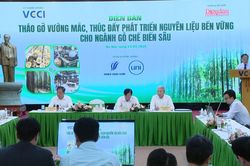 Giải bài toán nguyên liệu để ngành gỗ xuất khẩu 25 tỷ USD