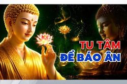 Tu tâm để báo ân là con đường cao quý