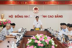 Ban Pháp chế, HĐND tỉnh thẩm tra dự thảo Nghị quyết trình tại Kỳ họp thứ 5 (chuyên đề) HĐND tỉnh