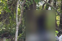 Phát hiện thi thể nam giới cạnh xe máy tại rừng liễu ở Đồng Nai, công an phát thông báo khẩn