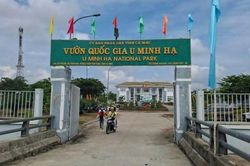 Vụ h&agrave;ng trăm h&eacute;c-ta rừng bị t&agrave;n ph&aacute;: UBND tỉnh C&agrave; Mau đ&atilde; c&oacute; b&aacute;o c&aacute;o xử l&yacute;