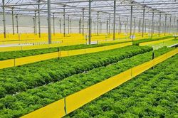 Lâm Đồng đề xuất tôn vinh các điển hình tiên tiến phát triển Nông nghiệp hữu cơ lần thứ III năm 2026